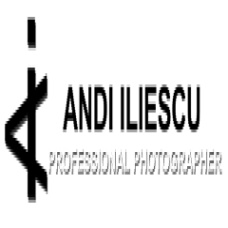 Andi Iliescu Photography