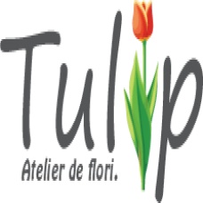 Tulip - Atelier de flori.