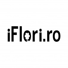 Online Marketing Consult SRL