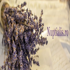 Nuptialis.ro