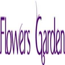 Tulipa Flowers Garden SRL