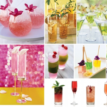 Cocktail Party - Petrecerea Burlacitelor