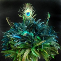 Decoratiuni din Pene de Paun