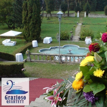 Cadou muzical, cvartet de coarde