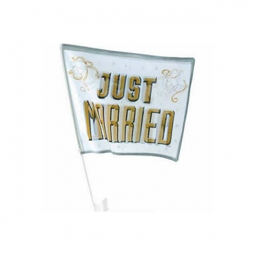 Steag just married pentru masina mirilor