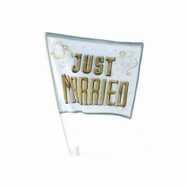 Steag just married pentru masina mirilor