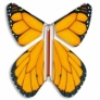 Fluture Zburator Monarh