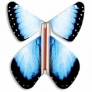 Fluture Zburator Albastru Natural
