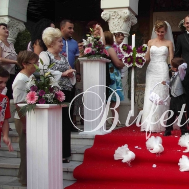 Porumbei albi nunta, voiajori si rotari