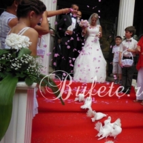 Organizare cununie religioasa