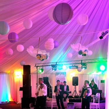 Orchestra AMADEO