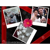 Organizari Nunta Costanta